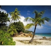 Фотообои 8-885 Praslin