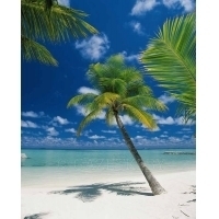 Фотообои 4-883 Ari Atoll