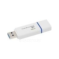 USB Флеш Kingston Kingston DTIG4/16GB