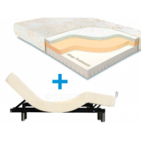 Sleep Professor Touch Hard + Ergomotion 300S
