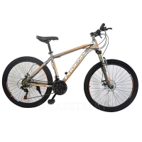 Велосипед Phoenix Impulse (Orange)